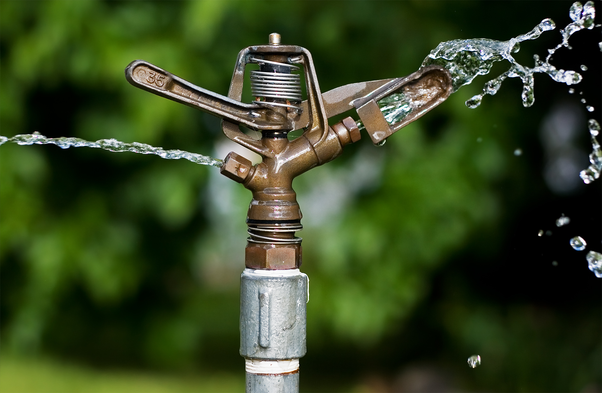Pop-ups and Sprinklers image